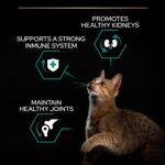 Purina Pro Plan – Adult Renal Plus Everyday Cat Dry Food – Chicken