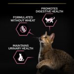 Purina Pro Plan – Sterilised Adult Delicate Digestion Cat Dry Food – Chicken