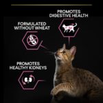 Purina Pro Plan – Adult Vital Functions Everyday Cat Dry Food – Salmon