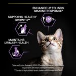 Purina Pro Plan – Kitten Healthy Start Cat Dry Food – Chicken