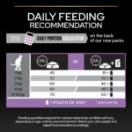 Purina Pro Plan – Kitten Healthy Start Cat Dry Food – Chicken