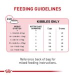 Royal Canin Kitten Cat Dry Food