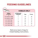 Royal Canin Kitten Sterelised Cat Dry Food