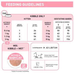 Royal Canin Mother & Babycat Cat Dry Food