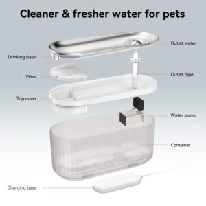 Wi-Fi Enabled Pet Water Dispenser - Shaking Tails