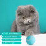 Smart Cat Ball Toy – Interactive Play for Cats