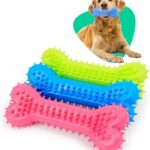 Pet Tooth Cleaning Bone Toy