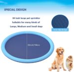 Inflatable Water Sprinkler Pad - Shaking Tails