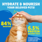 Purina FRISKIES Salmon in Gravy Wet Cat Food