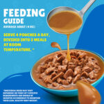 Purina FRISKIES Salmon in Gravy Wet Cat Food