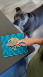 Silicone Pet Licking Mat for Stress Relief and Fun