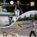 Medium to Large Dog Buckle – Explosion-Proof Impact Design