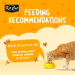 Kit Cat Kitty Crunch Chicken Flavor