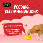 Kit Cat Kitty Crunch Beef Flavor
