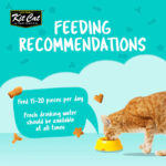 Kit Cat Kitty Crunch Lamb Flavor