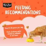 Kit Cat Kitty Crunch Salmon Flavor