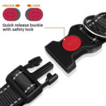 Adjustable Reflective Webbing Collar With Leash For Dogs And Cats