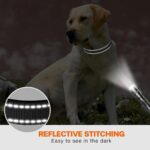 Adjustable Reflective Webbing Collar With Leash For Dogs And Cats