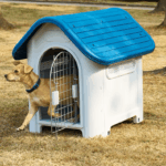 Dog Outdoor House