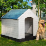 Dog Premium Outdoor House