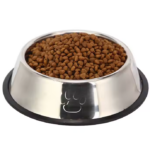 Stainless Steel Pet Bowl