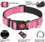 Adjustable Reflective Webbing Collar With Leash For Dogs And Cats