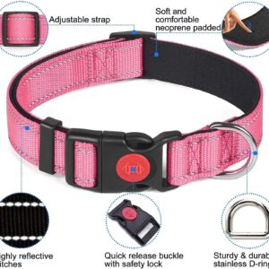 Adjustable Reflective Webbing Collar With Leash For Dogs And Cats - Shaking Tails