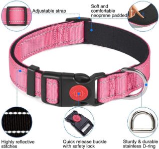 Hbf6b8faa7a514af6b6b8abe088c39a06k Adjustable Reflective Webbing Collar With Leash For Dogs And Cats - Shaking Tails