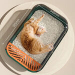 Eco Friendly Cat Litter Box