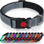 Adjustable Reflective Webbing Collar With Leash For Dogs And Cats - Shaking Tails