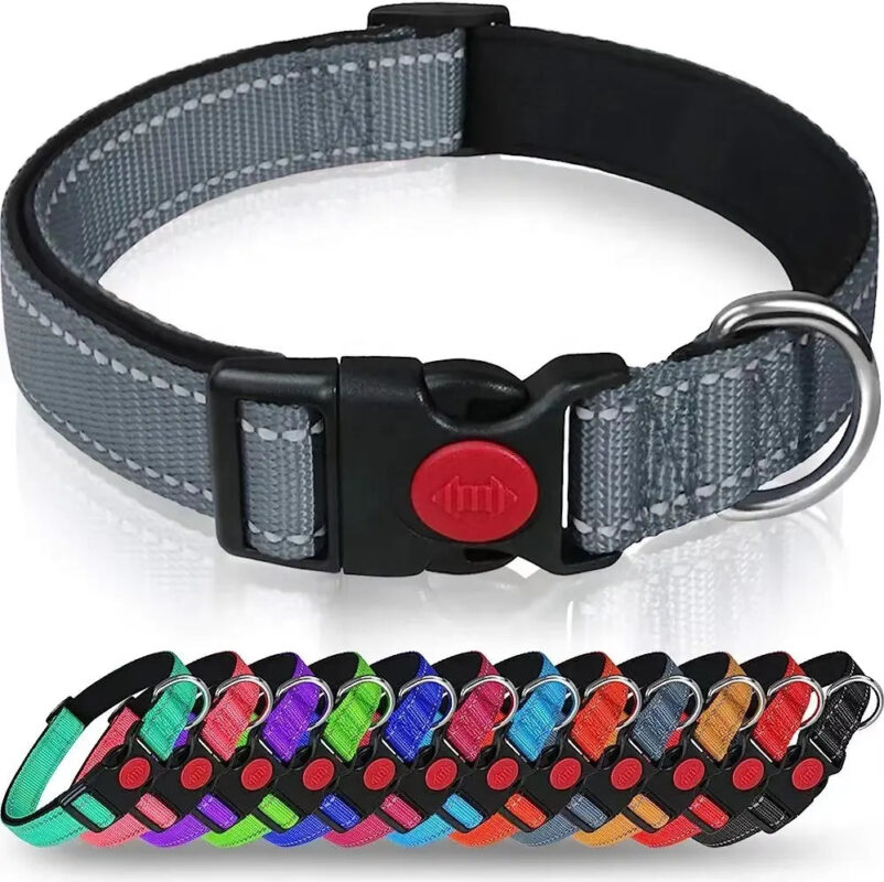 Adjustable Reflective Webbing Collar With Leash For Dogs And Cats Adjustable Reflective Webbing Collar With Leash For Dogs And Cats