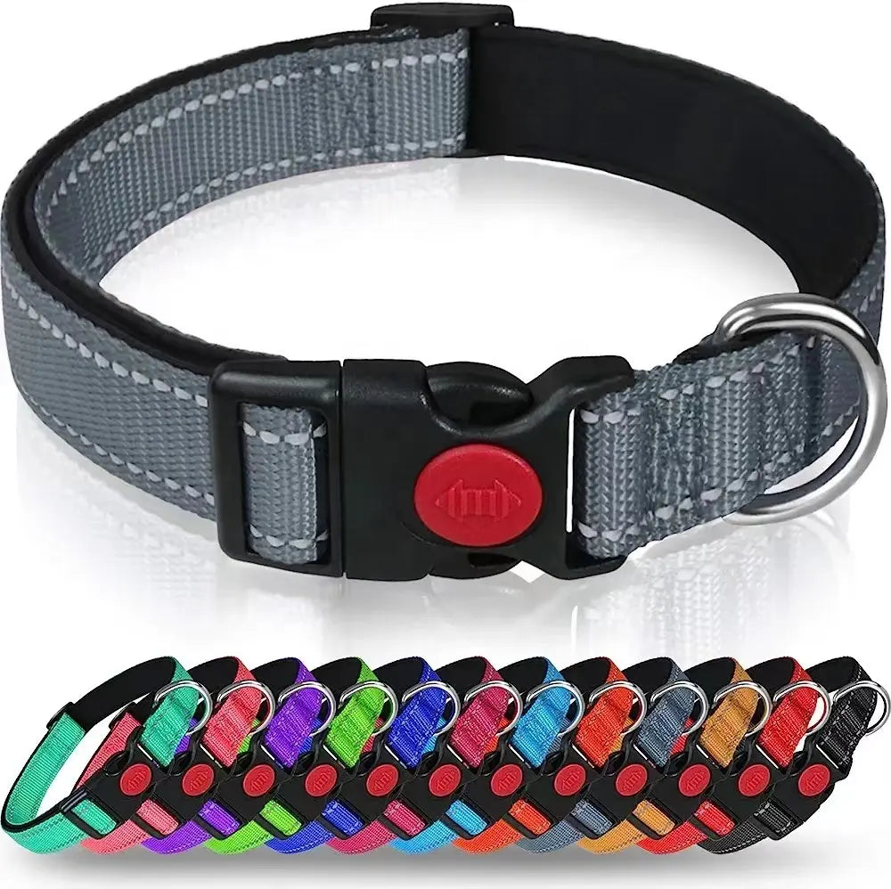 He18592c67448412f986cbddfdfa3e31bf Adjustable Reflective Webbing Collar With Leash For Dogs And Cats