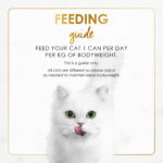 Purina FANCY FEAST Grilled Chicken Feast in Gravy Gourmet Cat Food