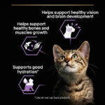 Purina Pro Plan – Kitten Healthy Start Cat Wet Food – Turkey in Gravy