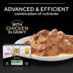Purina Pro Plan – Sterelised Adult Maintenance Cat Wet Food – Chicken in Gravy