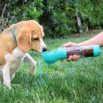 Portable Pet Feeder Bottle: 4-in-1