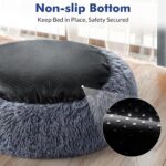 Plush Sofa