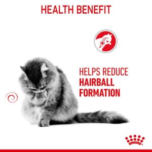 Royal Canin Adult Hairball care Cat Dry Food