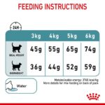 Royal Canin Adult Hairball care Cat Dry Food