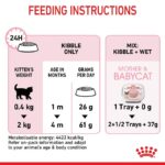 Royal Canin Mother & Babycat Cat Dry Food