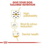 Royal Canin – Chihuahua Adult Dog Dry Food