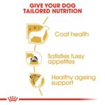 Royal Canin – Yorkshire Terrier Adult Dog Dry Food