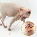Cat Collar with Laser Toy and Built-in LED for Active Play