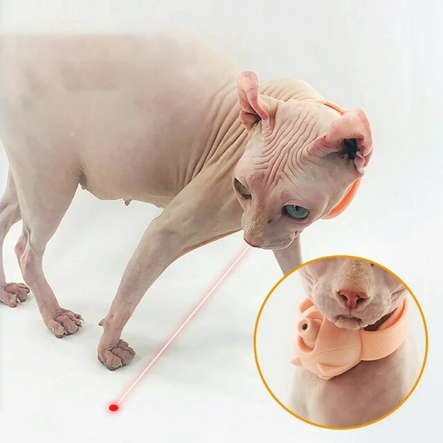 f3c2763a-b518-4e09-8927-a8f986d0bd5b.712c1c193dc74ae8a4e5a80f03021e0c Cat Collar with Laser Toy and Built-in LED for Active Play