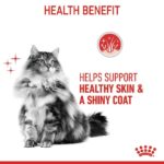 Royal Canin – Wet Hair & Skin Gravy Cat Food