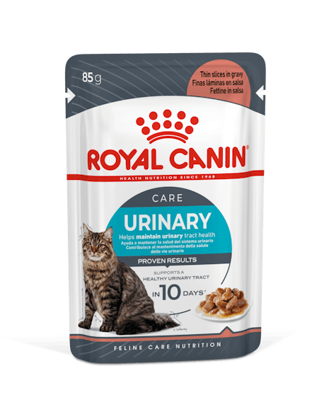 fcn22-urinary-care-gravy-packshot-pouch-b1 Royal Canin – Wet Urinary Care Gravy Cat Food