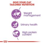 Royal Canin Adult Sterelised Cat Dry Food