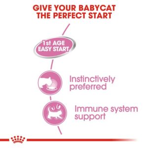 Royal Canin – Mother & Babycat Ultra Soft Mousse in Sauce Canned Cat Wet Food