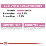 Royal Canin – Mother & Babycat Ultra Soft Mousse in Sauce Canned Cat Wet Food