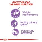 Royal Canin – Wet Sterilised Gravy Cat Wet Food